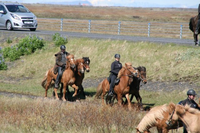 Sumarferð Sleipnis 2015