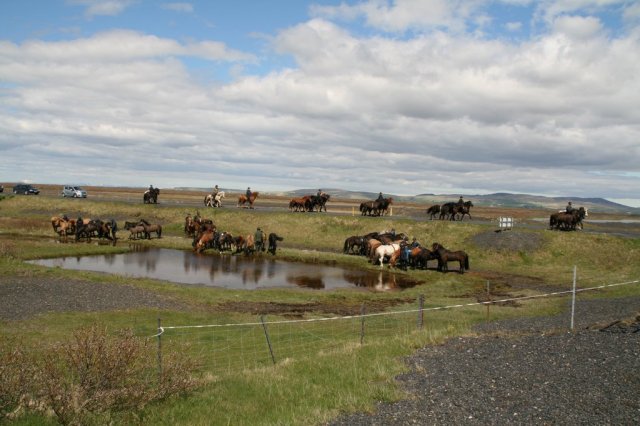 Sumarferð Sleipnis 2015