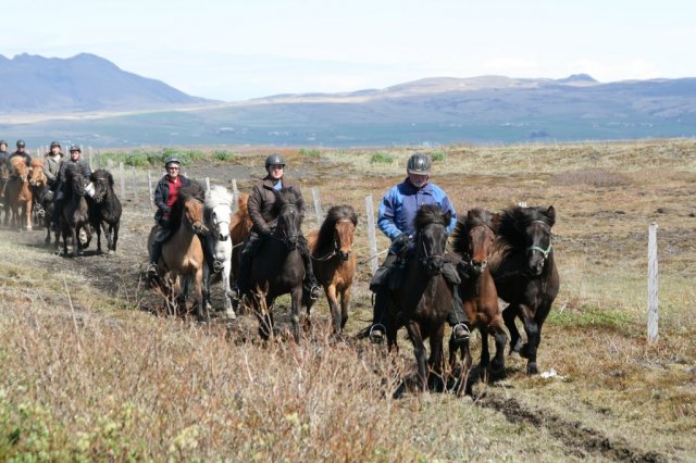 Sumarferð Sleipnis 2015