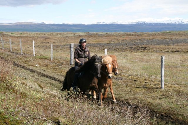 Sumarferð Sleipnis 2015