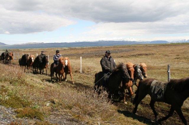 Sumarferð Sleipnis 2015