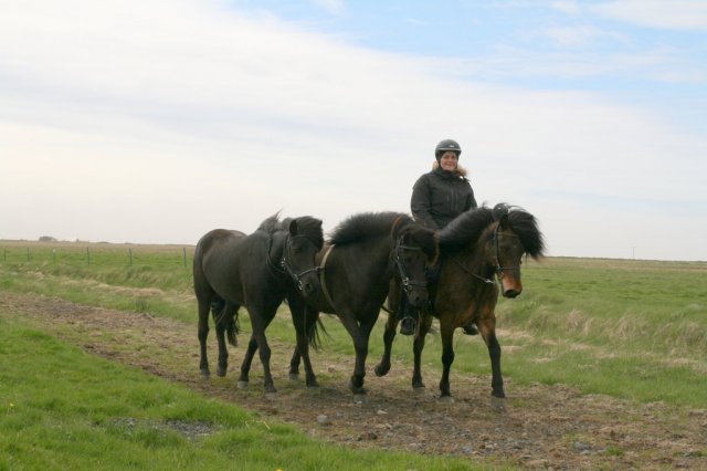 Sumarferð Sleipnis 2015