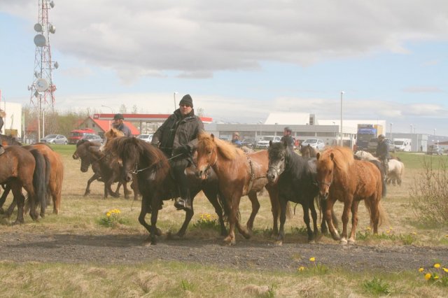 Sumarferð Sleipnis 2015