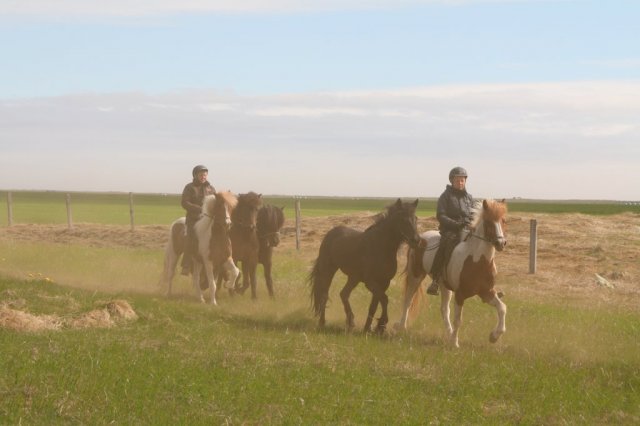 Sumarferð Sleipnis 2015