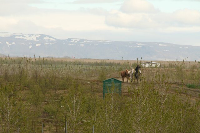 Sumarferð Sleipnis 2015