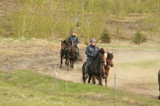 Sumarferð Sleipnis 2015