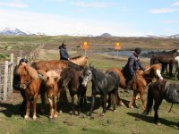 Sumarferð Sleipnis 2015