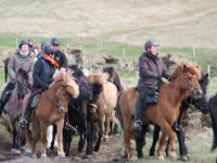 Sumarferð Sleipnis 2015
