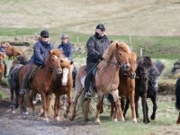 Sumarferð Sleipnis 2015