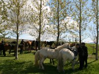 Sumarferð Sleipnis 2015