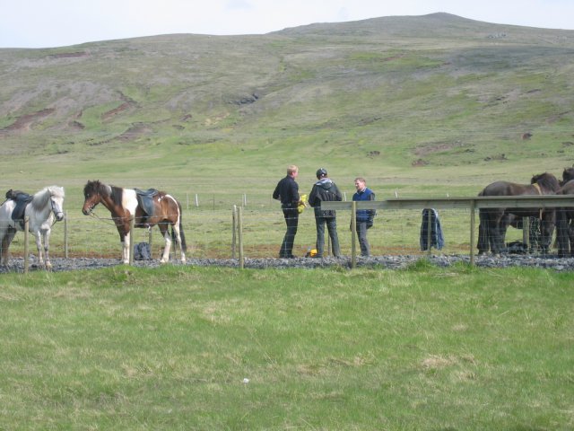 Sleipnisferð 2008