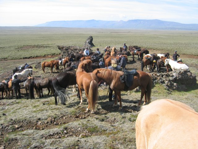 Sleipnisferð 2008