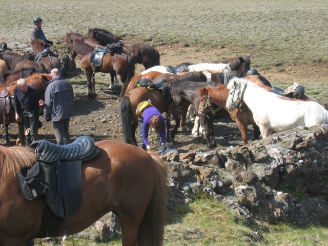 Sleipnisferð 2008