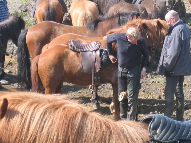 Sleipnisferð 2008