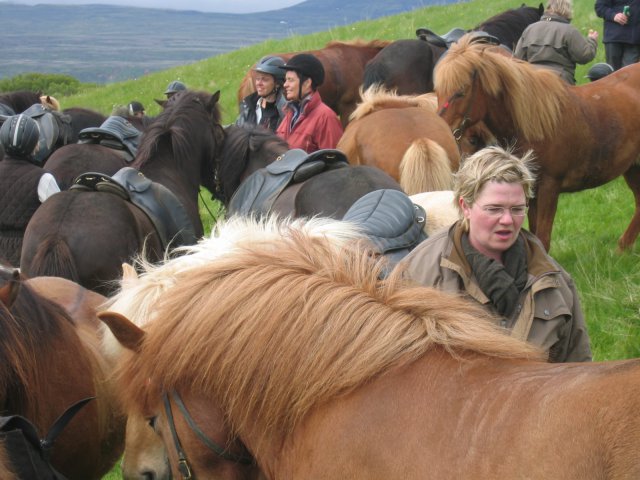 Sleipnisferð 2008