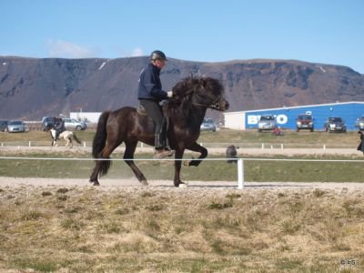 Firmakeppni 2012