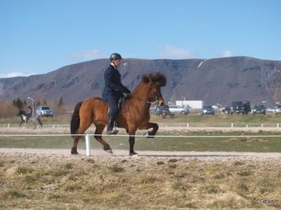 Firmakeppni 2012