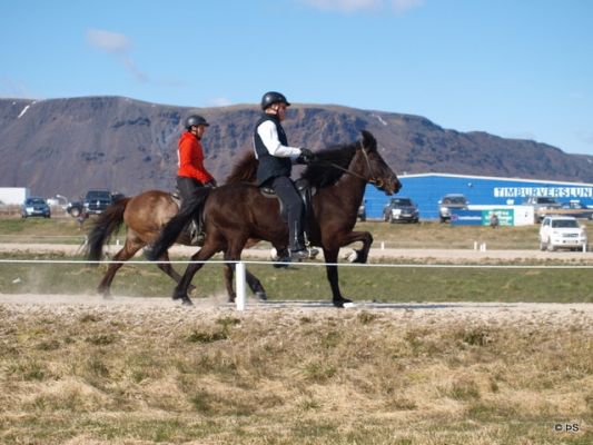 Firmakeppni 2012