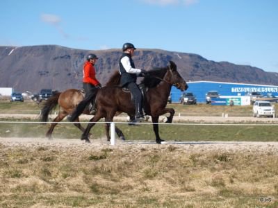 Firmakeppni 2012