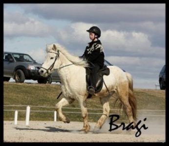 Firmakeppni 2012