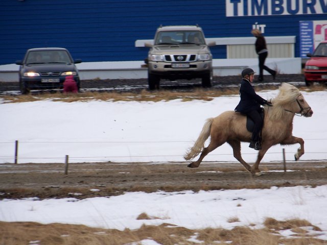 Vetrarmót I 2009