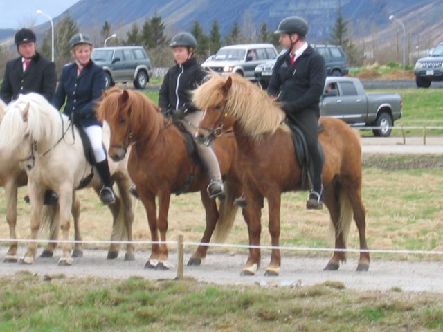 Íþróttamót 2008