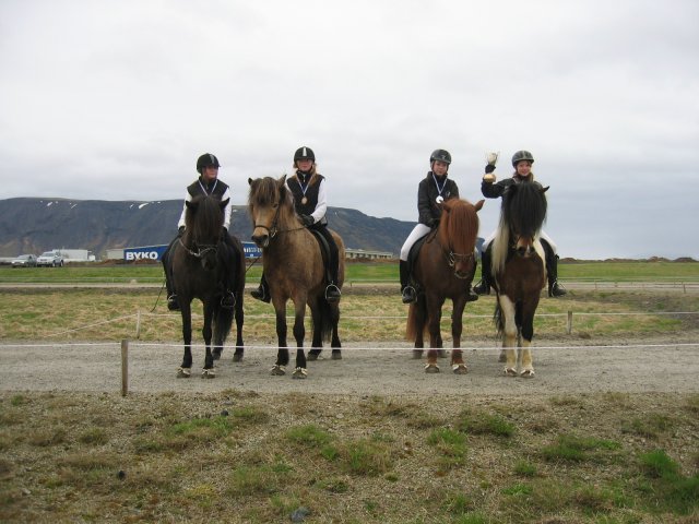 Íþróttamót 2008