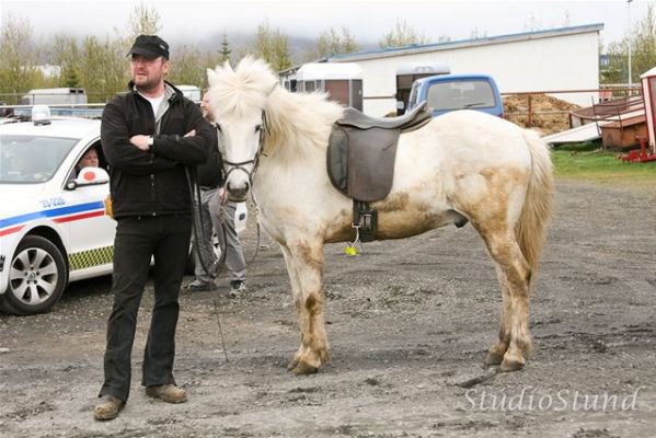 Vígsla Reiðhallar