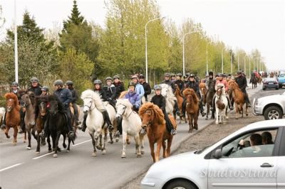 Vígsla Reiðhallar