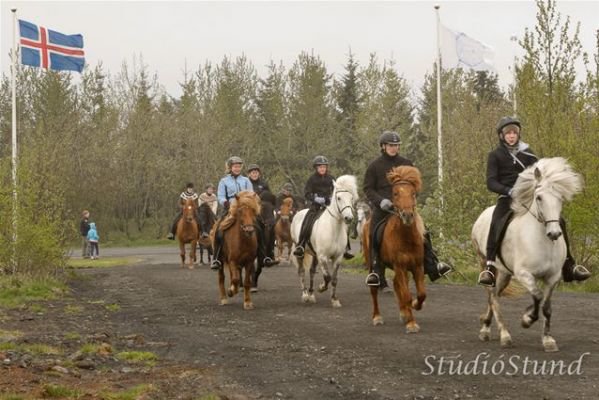 Vígsla Reiðhallar