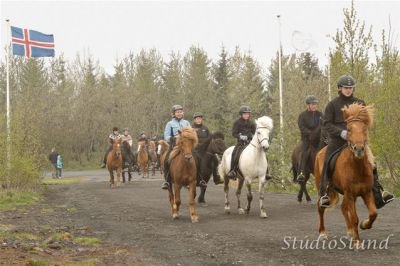 Vígsla Reiðhallar