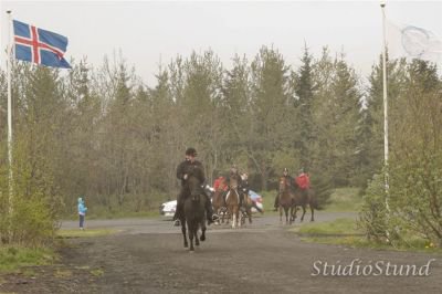 Vígsla Reiðhallar